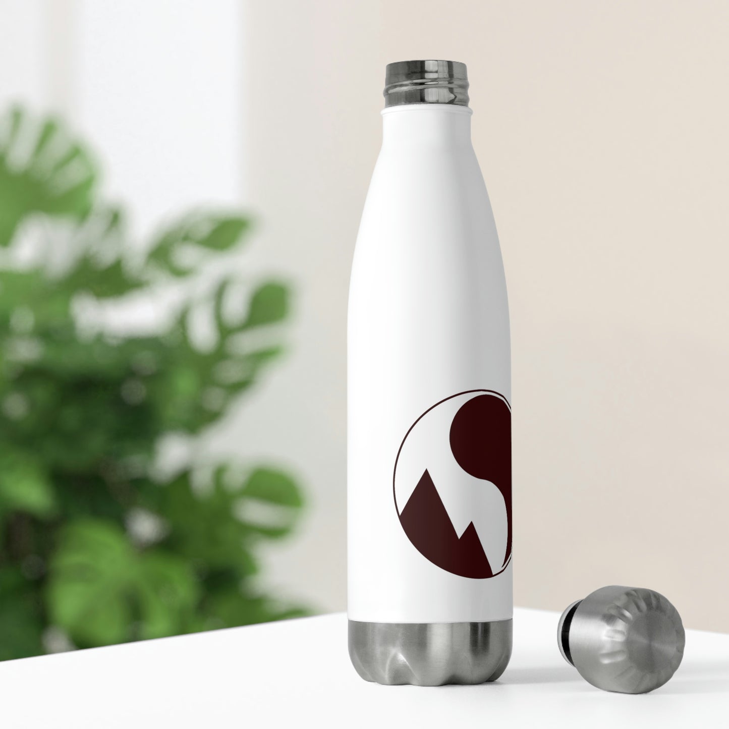 20oz Insulated Bottle