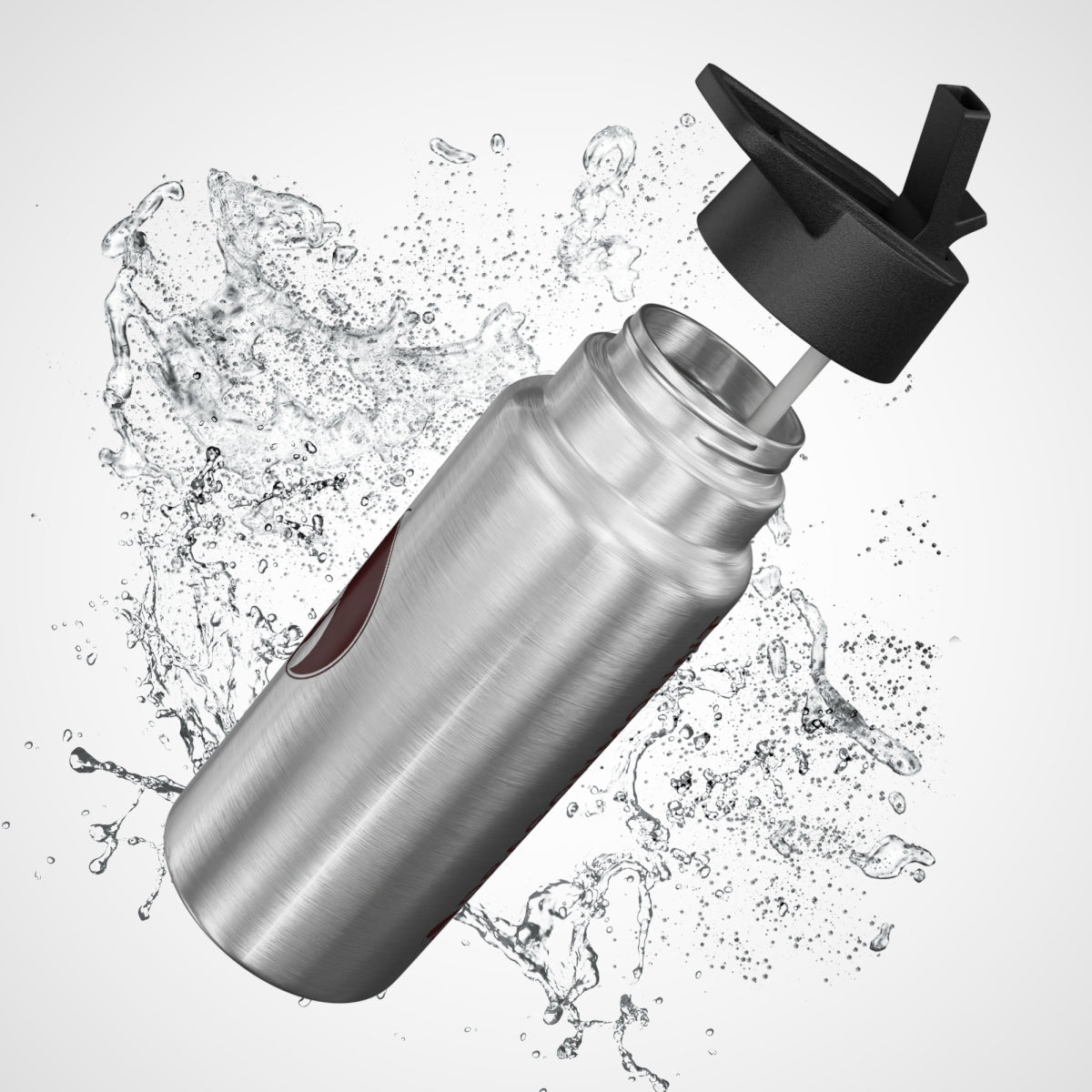 Dragonmount Water Bottle
